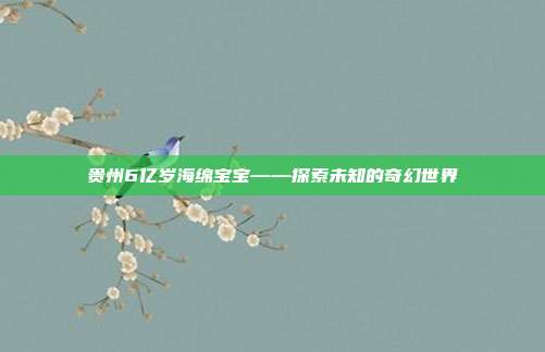 贵州6亿岁海绵宝宝——探索未知的奇幻世界