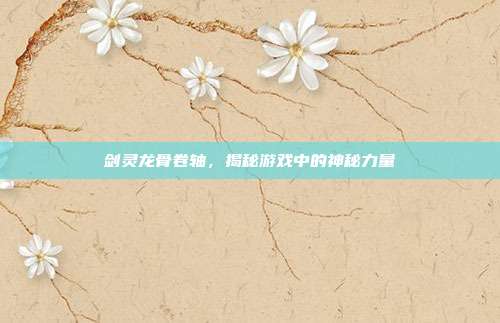 剑灵龙骨卷轴，揭秘游戏中的神秘力量