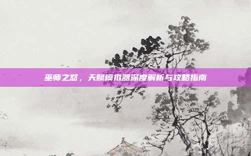 巫师之怒,天赋模拟器深度解析与攻略指南