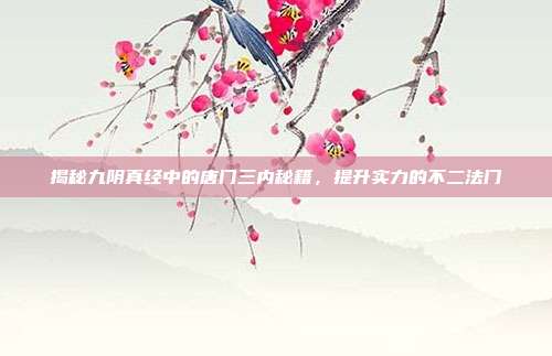 揭秘九阴真经中的唐门三内秘籍，提升实力的不二法门
