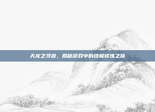 天龙之寻道,揭秘游戏中的终极修炼之旅