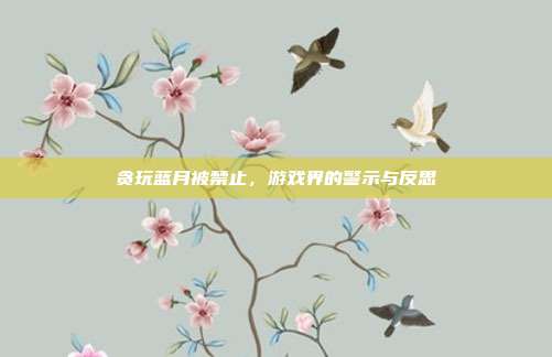 贪玩蓝月被禁止,游戏界的警示与反思