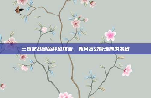 三国志战略版种地攻略,如何高效管理你的农田