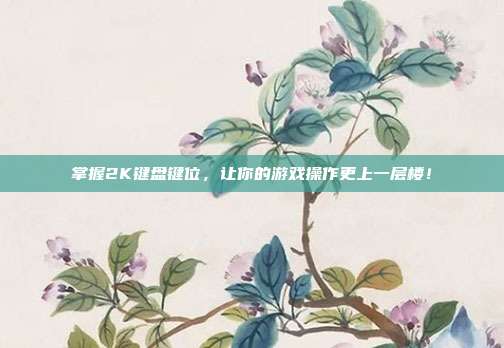 掌握2K键盘键位，让你的游戏操作更上一层楼！
