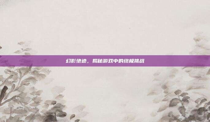 幻影绝迹，揭秘游戏中的终极挑战