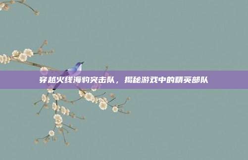 穿越火线海豹突击队,揭秘游戏中的精英部队