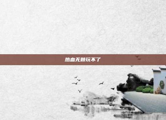 热血无赖玩不了