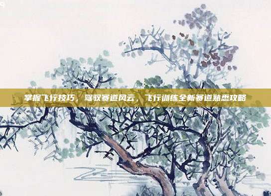 掌握飞行技巧,驾驭赛道风云,飞行训练全新赛道熟悉攻略
