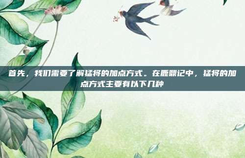 首先,我们需要了解猛将的加点方式。在鹿鼎记中,猛将的加点方式主要有以下几种