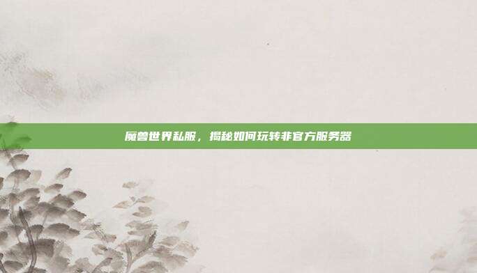 魔兽世界私服,揭秘如何玩转非官方服务器