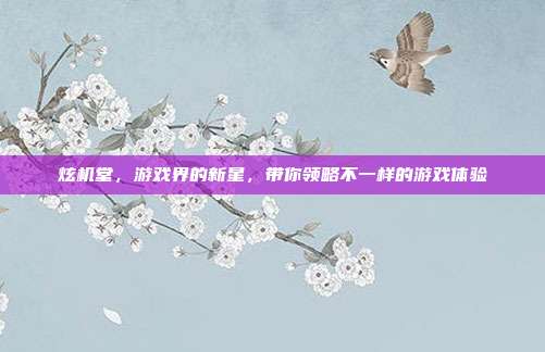 炫机堂,游戏界的新星,带你领略不一样的游戏体验