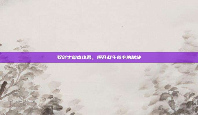 驭剑士加点攻略,提升战斗效率的秘诀