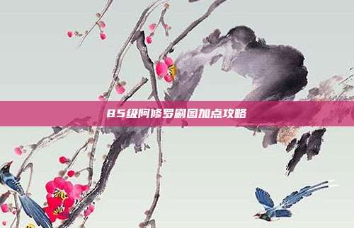 85级阿修罗刷图加点攻略