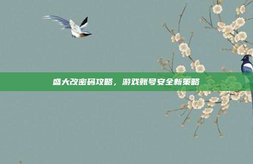 盛大改密码攻略,游戏账号安全新策略