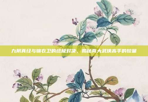 九阴真经与锦衣卫的终极对决,揭秘两大武侠高手的较量