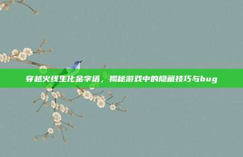 穿越火线生化金字塔,揭秘游戏中的隐藏技巧与bug