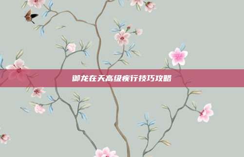 御龙在天高级疾行技巧攻略