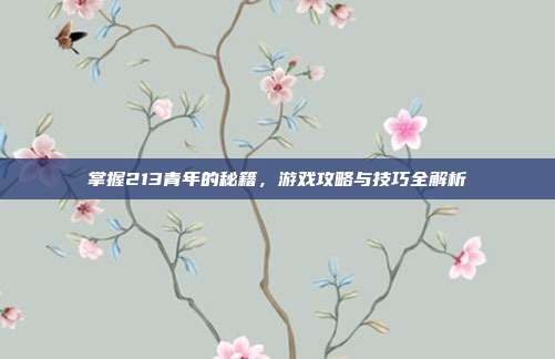 掌握213青年的秘籍，游戏攻略与技巧全解析