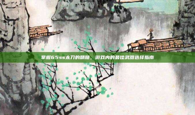掌握65ss太刀的精髓,游戏内的最佳武器选择指南