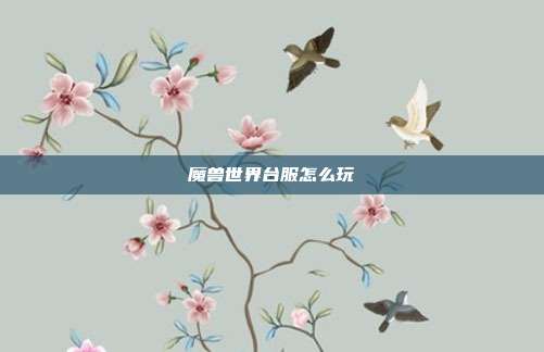 魔兽世界台服怎么玩