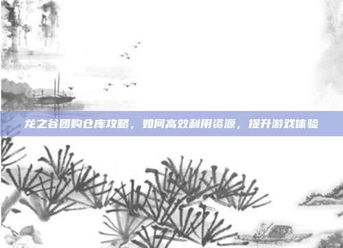 龙之谷团购仓库攻略，如何高效利用资源，提升游戏体验