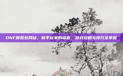 DNF傻瓜包网站,新手玩家的福音,游戏攻略与技巧全掌握