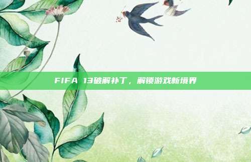 FIFA 13破解补丁，解锁游戏新境界