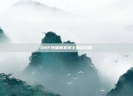 DNF纯辅助圣骑士加点攻略