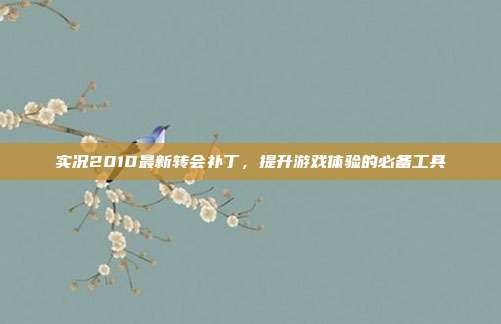 实况2010最新转会补丁,提升游戏体验的必备工具