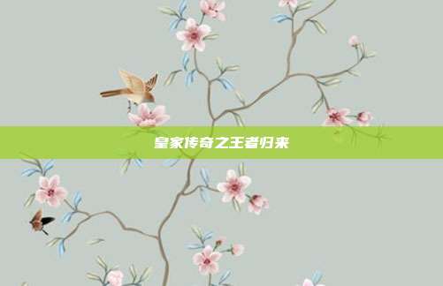 皇家传奇之王者归来
