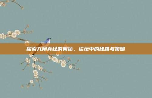探索九阴真经的奥秘,论坛中的秘籍与策略