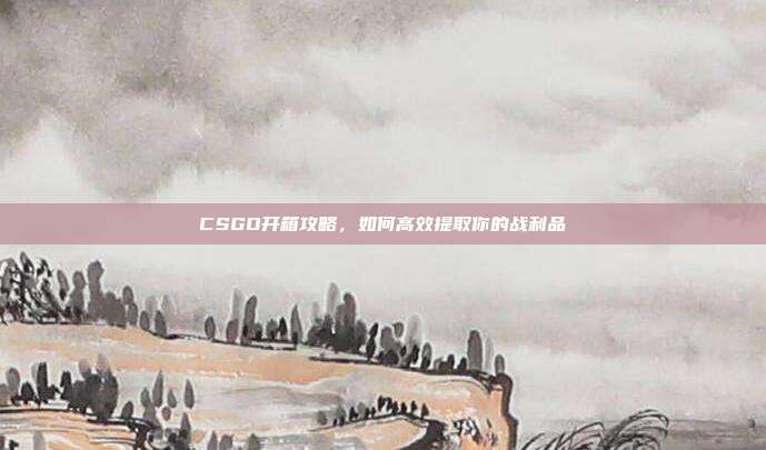 CSGO开箱攻略,如何高效提取你的战利品