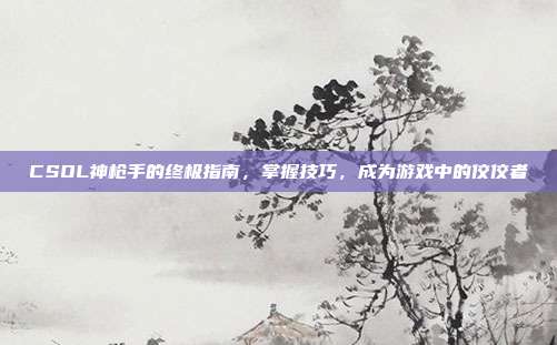 CSOL神枪手的终极指南,掌握技巧,成为游戏中的佼佼者