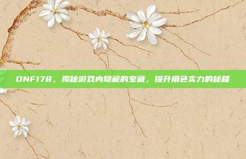 DNF178,揭秘游戏内隐藏的宝藏,提升角色实力的秘籍
