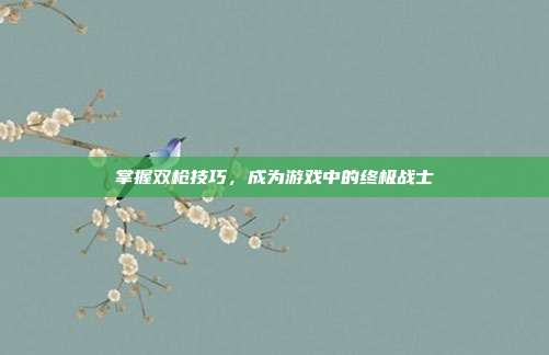 掌握双枪技巧,成为游戏中的终极战士
