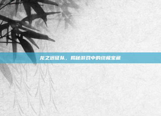 龙之远征队,揭秘游戏中的终极宝藏