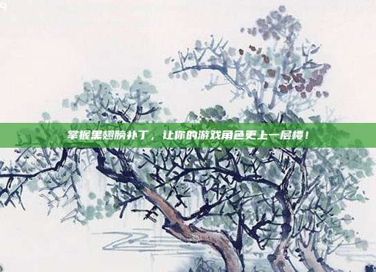掌握黑翅膀补丁,让你的游戏角色更上一层楼!