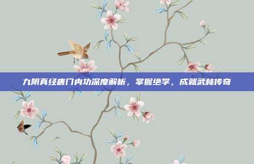 九阴真经唐门内功深度解析,掌握绝学,成就武林传奇