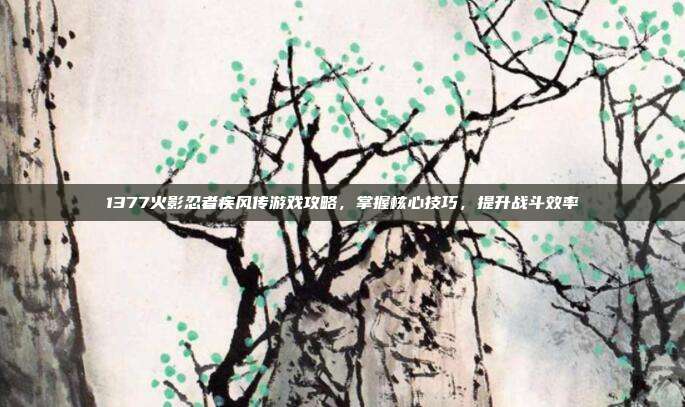 1377火影忍者疾风传游戏攻略,掌握核心技巧,提升战斗效率