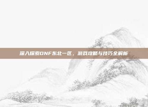 深入探索DNF东北一区,游戏攻略与技巧全解析