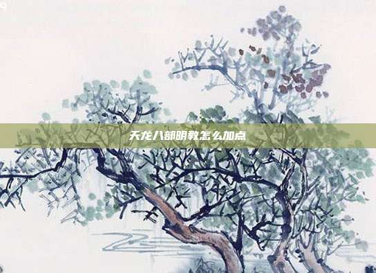 天龙八部明教怎么加点