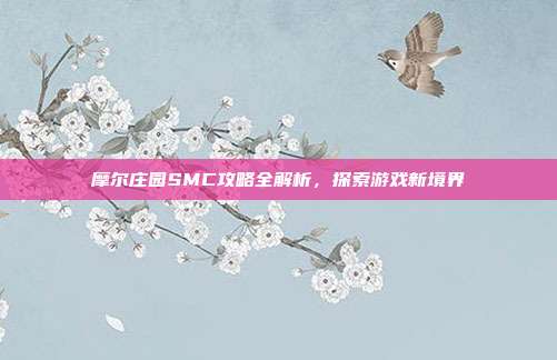 摩尔庄园SMC攻略全解析，探索游戏新境界