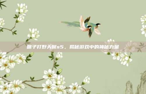 瞎子打野天赋s5，揭秘游戏中的神秘力量