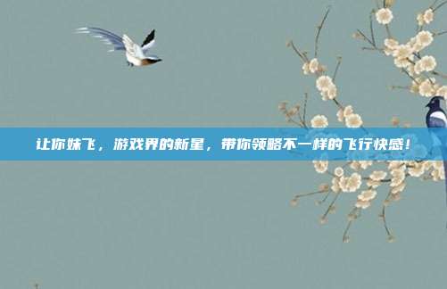 让你妹飞,游戏界的新星,带你领略不一样的飞行快感!