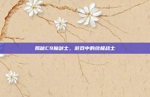 揭秘C9魔剑士，游戏中的终极战士