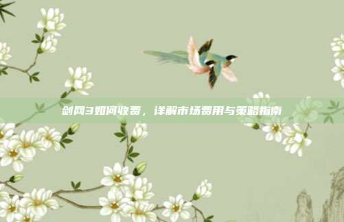 剑网3如何收费，详解市场费用与策略指南