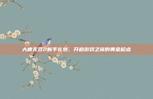 大唐无双2新手礼包,开启游戏之旅的黄金起点