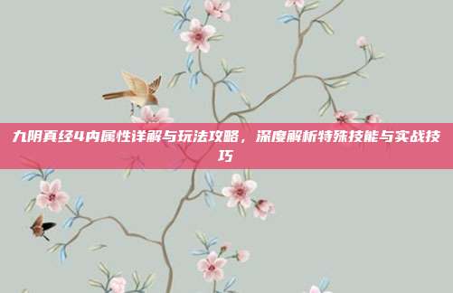 九阴真经4内属性详解与玩法攻略,深度解析特殊技能与实战技巧