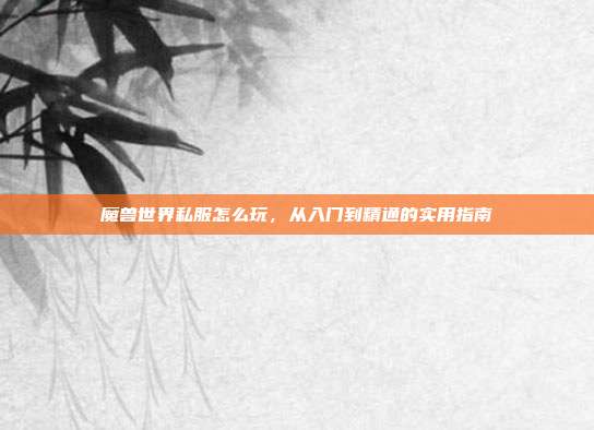 魔兽世界私服怎么玩，从入门到精通的实用指南