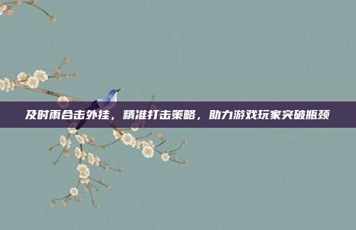 及时雨合击外挂，精准打击策略，助力游戏玩家突破瓶颈